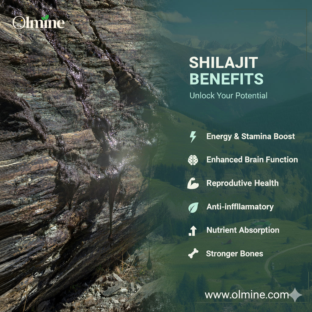 30 Gram | Olmine Shilajit | 100% Natural Shilajit | Skardu Shilajit | with Spoon